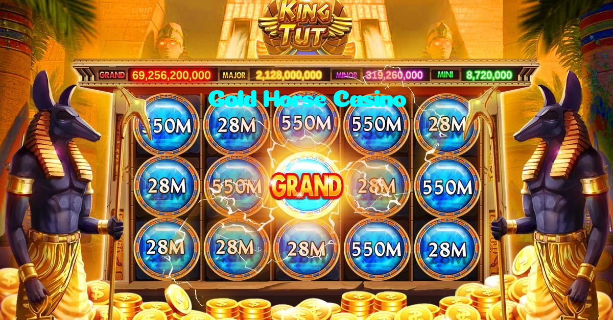 available types of Gold Horse Casino bet including pre-match live express and system bets